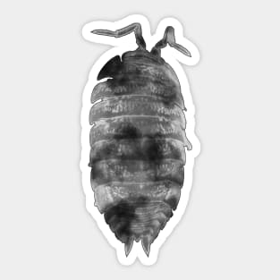 Dairy Cow Isopod Sticker Sticker